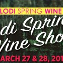 Lodi Spring Wine Show 2015